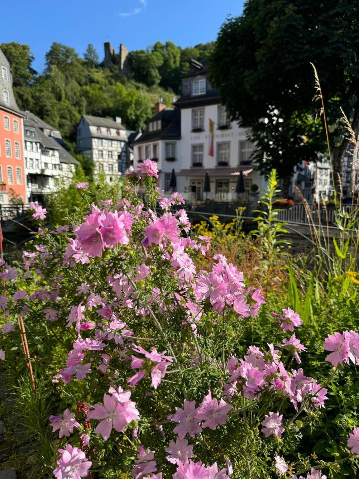 Fewo In Monschau Zewnętrze zdjęcie